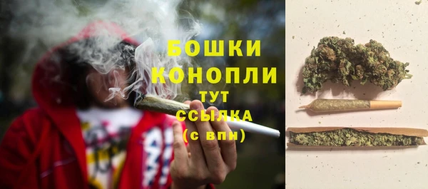 ГАЛЛЮЦИНОГЕННЫЕ ГРИБЫ Володарск