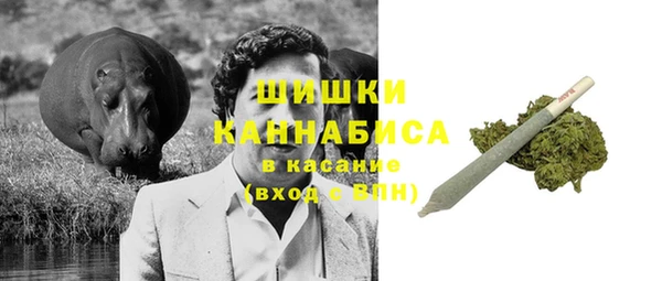 ГАЛЛЮЦИНОГЕННЫЕ ГРИБЫ Володарск