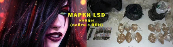 ГАЛЛЮЦИНОГЕННЫЕ ГРИБЫ Володарск