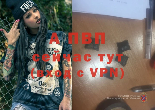 ГАЛЛЮЦИНОГЕННЫЕ ГРИБЫ Володарск