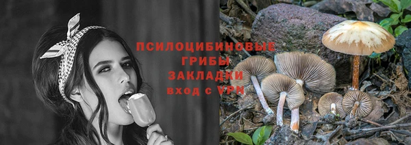 бошки Волоколамск