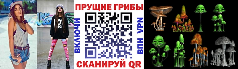 Галлюциногенные грибы Psilocybine cubensis Шарыпово